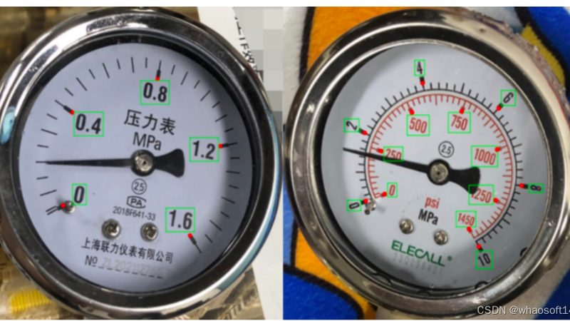 国产食品检测仪器：揭秘其核心技术与应用